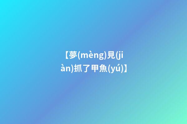 【夢(mèng)見(jiàn)抓了甲魚(yú)】