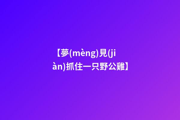 【夢(mèng)見(jiàn)抓住一只野公雞】
