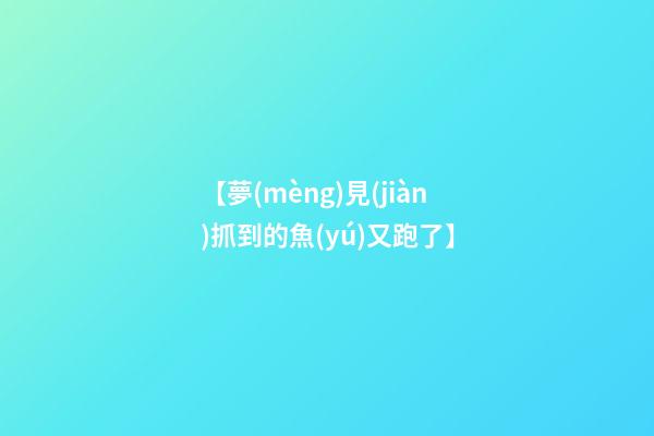 【夢(mèng)見(jiàn)抓到的魚(yú)又跑了】