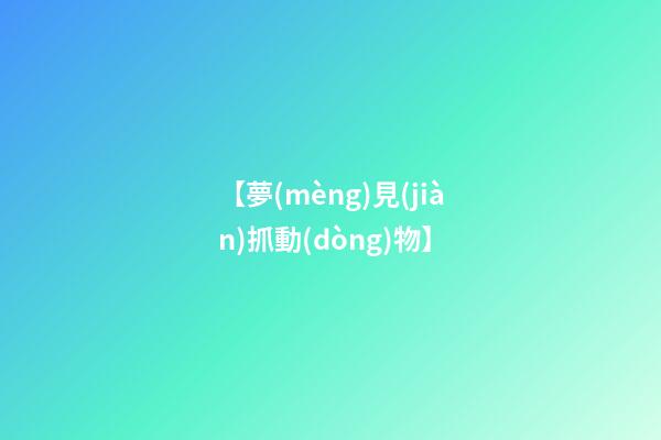 【夢(mèng)見(jiàn)抓動(dòng)物】