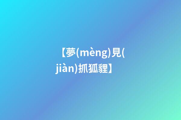【夢(mèng)見(jiàn)抓狐貍】