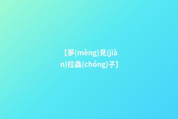 【夢(mèng)見(jiàn)拉蟲(chóng)子】