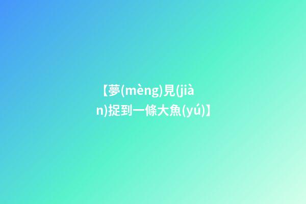 【夢(mèng)見(jiàn)捉到一條大魚(yú)】