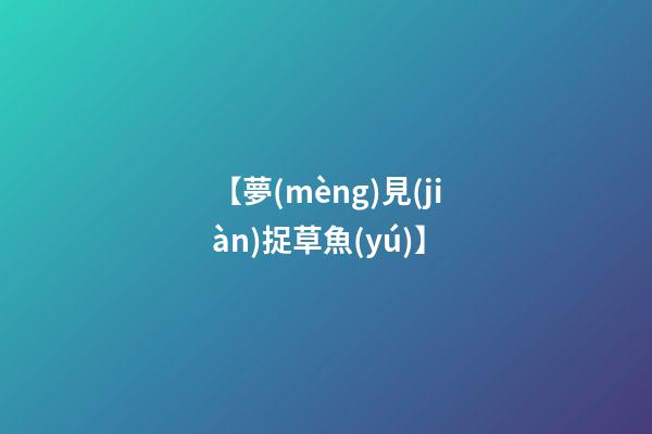 【夢(mèng)見(jiàn)捉草魚(yú)】