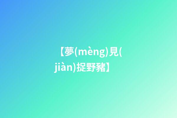 【夢(mèng)見(jiàn)捉野豬】
