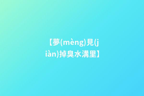 【夢(mèng)見(jiàn)掉臭水溝里】