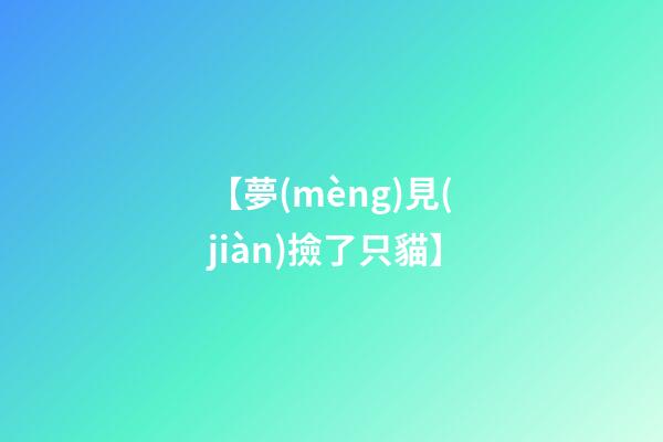 【夢(mèng)見(jiàn)撿了只貓】
