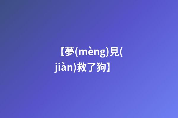 【夢(mèng)見(jiàn)救了狗】