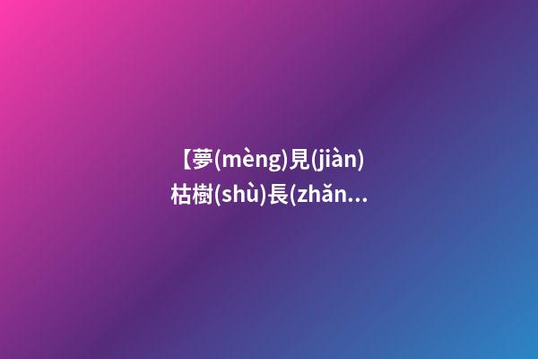【夢(mèng)見(jiàn)枯樹(shù)長(zhǎng)新葉子】