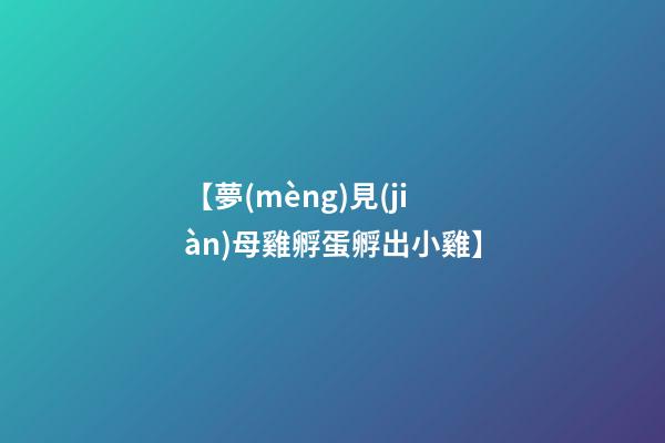 【夢(mèng)見(jiàn)母雞孵蛋孵出小雞】