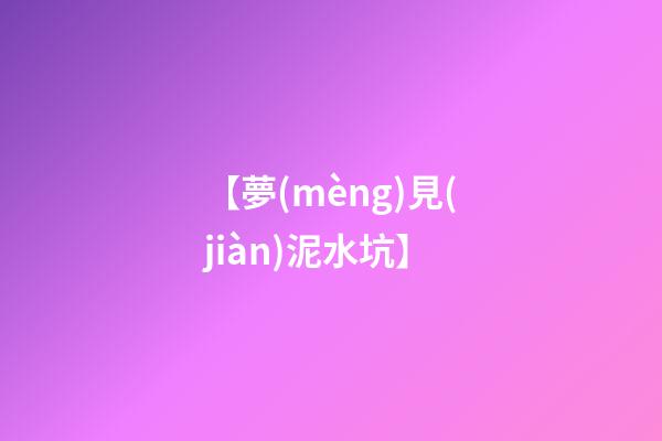 【夢(mèng)見(jiàn)泥水坑】