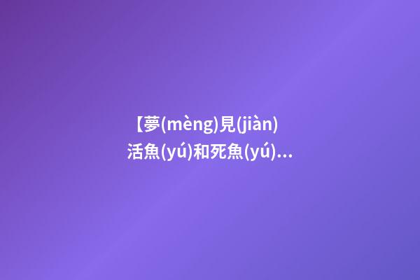 【夢(mèng)見(jiàn)活魚(yú)和死魚(yú)】