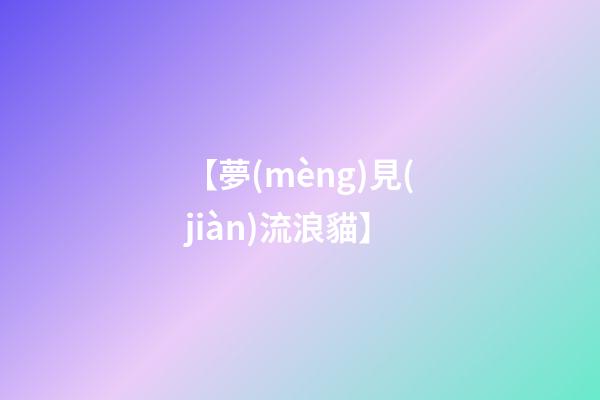 【夢(mèng)見(jiàn)流浪貓】
