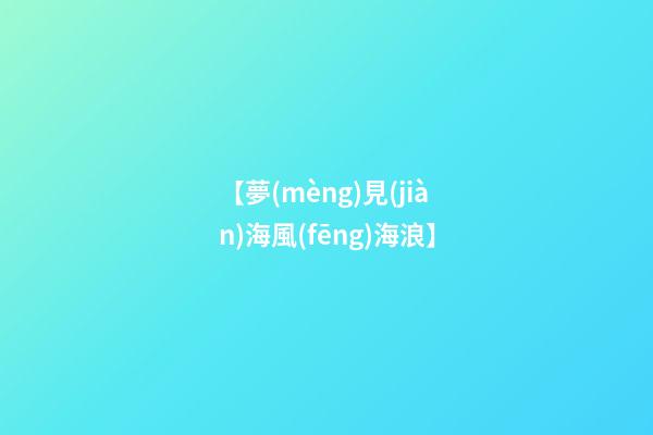 【夢(mèng)見(jiàn)海風(fēng)海浪】