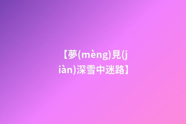 【夢(mèng)見(jiàn)深雪中迷路】
