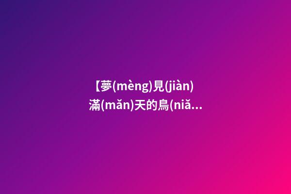 【夢(mèng)見(jiàn)滿(mǎn)天的鳥(niǎo)】