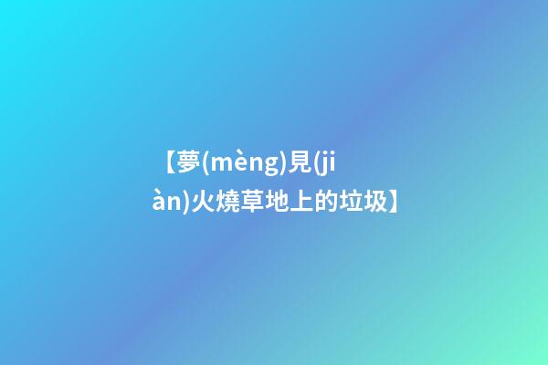 【夢(mèng)見(jiàn)火燒草地上的垃圾】