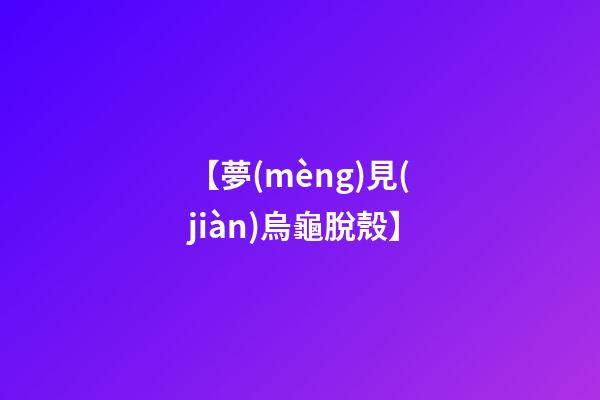 【夢(mèng)見(jiàn)烏龜脫殼】