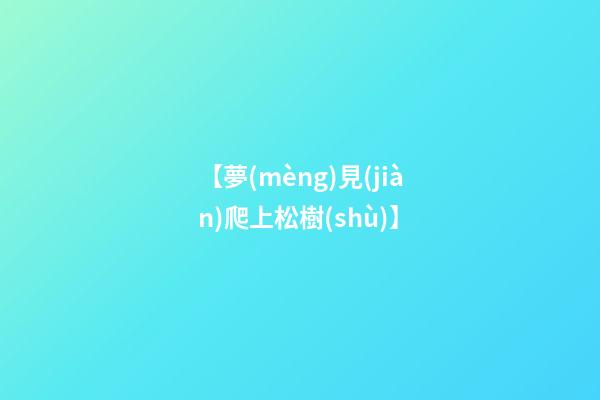 【夢(mèng)見(jiàn)爬上松樹(shù)】