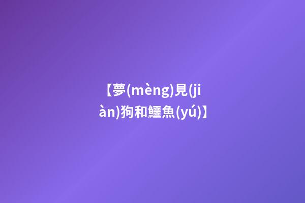 【夢(mèng)見(jiàn)狗和鱷魚(yú)】