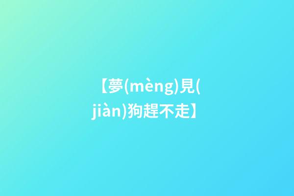 【夢(mèng)見(jiàn)狗趕不走】