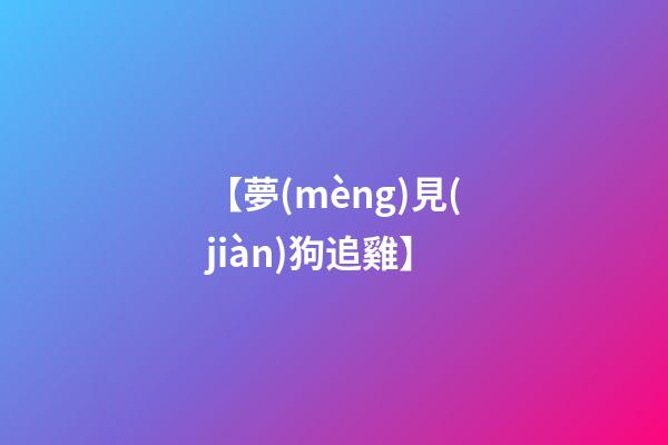 【夢(mèng)見(jiàn)狗追雞】