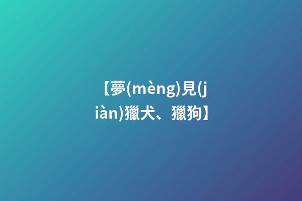 【夢(mèng)見(jiàn)獵犬、獵狗】
