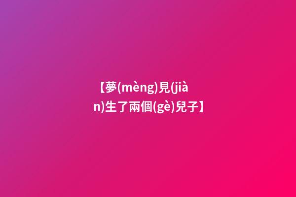 【夢(mèng)見(jiàn)生了兩個(gè)兒子】