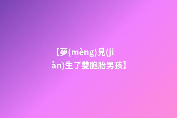 【夢(mèng)見(jiàn)生了雙胞胎男孩】