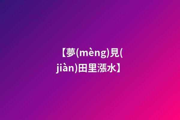 【夢(mèng)見(jiàn)田里漲水】