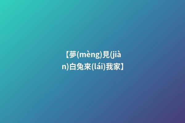 【夢(mèng)見(jiàn)白兔來(lái)我家】