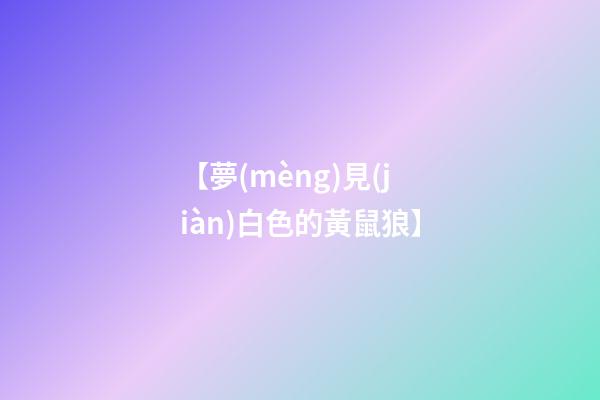 【夢(mèng)見(jiàn)白色的黃鼠狼】
