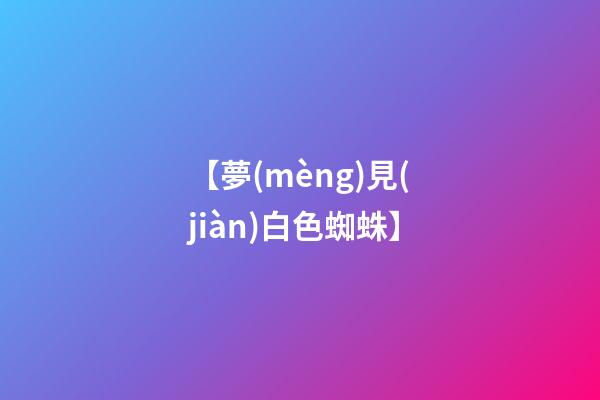 【夢(mèng)見(jiàn)白色蜘蛛】