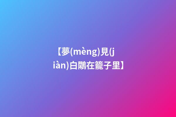 【夢(mèng)見(jiàn)白鷴在籠子里】