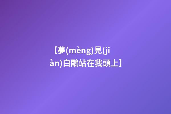 【夢(mèng)見(jiàn)白鷴站在我頭上】