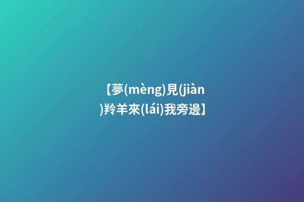 【夢(mèng)見(jiàn)羚羊來(lái)我旁邊】
