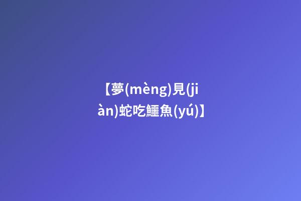 【夢(mèng)見(jiàn)蛇吃鱷魚(yú)】