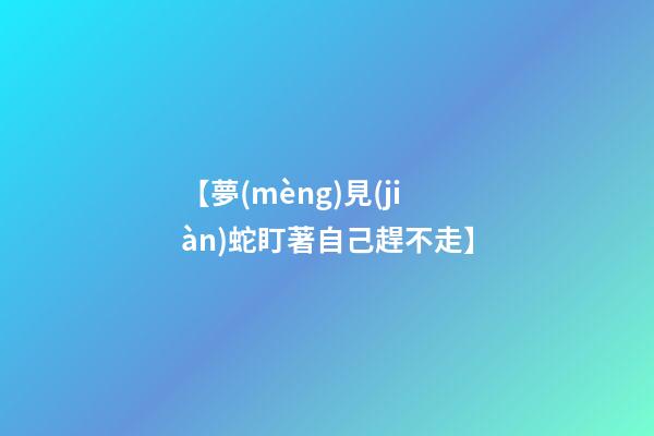 【夢(mèng)見(jiàn)蛇盯著自己趕不走】