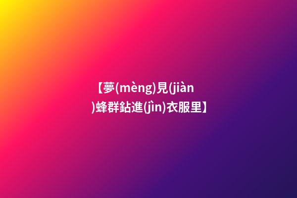 【夢(mèng)見(jiàn)蜂群鉆進(jìn)衣服里】
