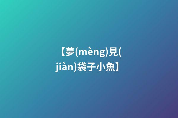 【夢(mèng)見(jiàn)袋子小魚】