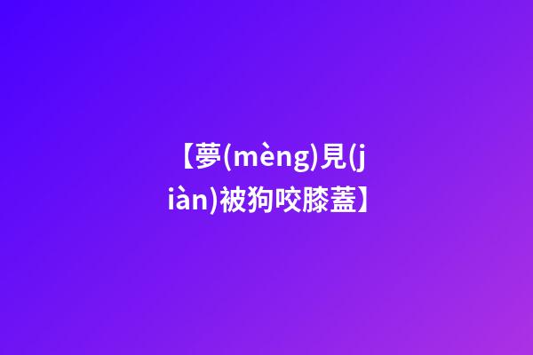 【夢(mèng)見(jiàn)被狗咬膝蓋】