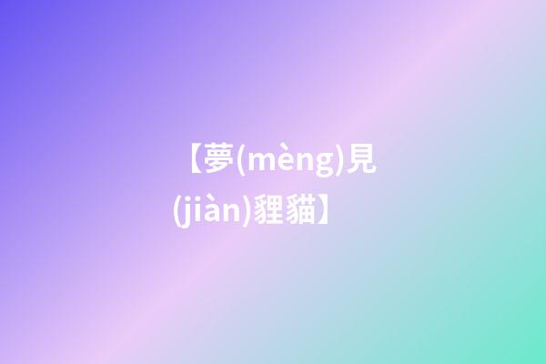 【夢(mèng)見(jiàn)貍貓】