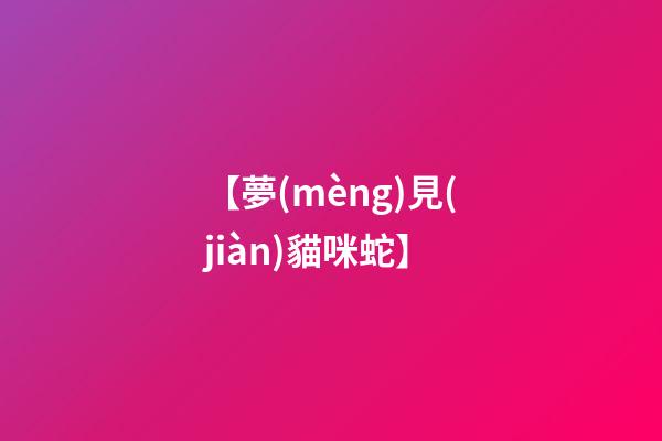 【夢(mèng)見(jiàn)貓咪蛇】