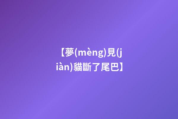【夢(mèng)見(jiàn)貓斷了尾巴】