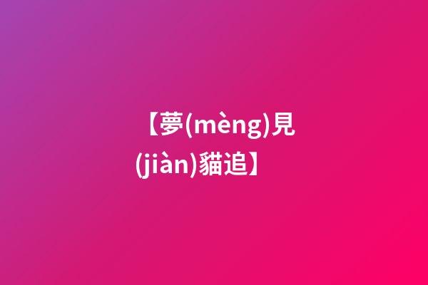 【夢(mèng)見(jiàn)貓追】