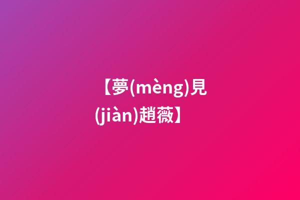 【夢(mèng)見(jiàn)趙薇】