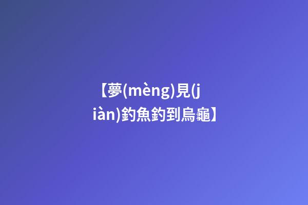 【夢(mèng)見(jiàn)釣魚釣到烏龜】