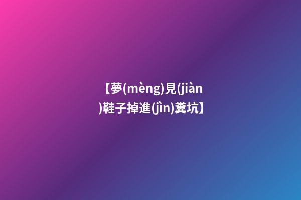 【夢(mèng)見(jiàn)鞋子掉進(jìn)糞坑】