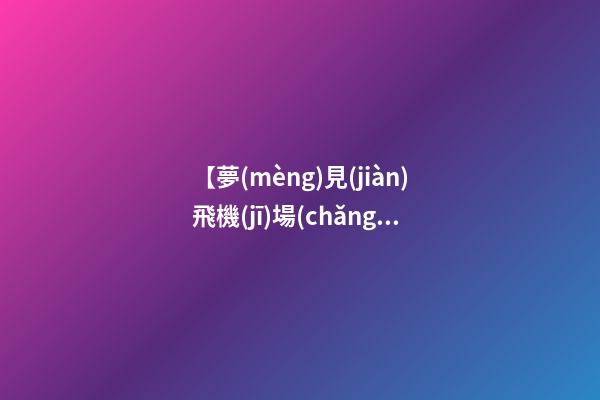 【夢(mèng)見(jiàn)飛機(jī)場(chǎng)好多飛機(jī)】