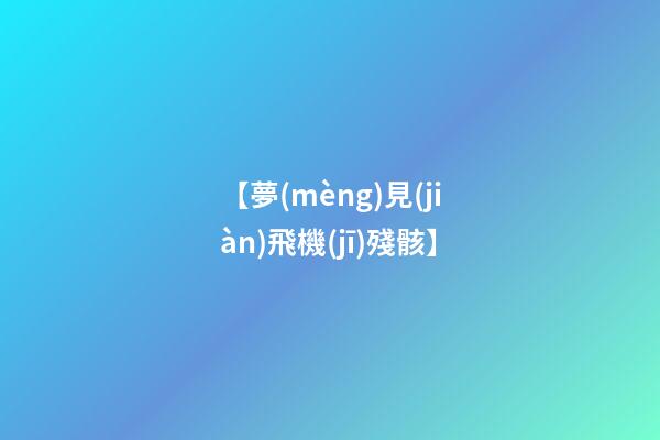 【夢(mèng)見(jiàn)飛機(jī)殘骸】